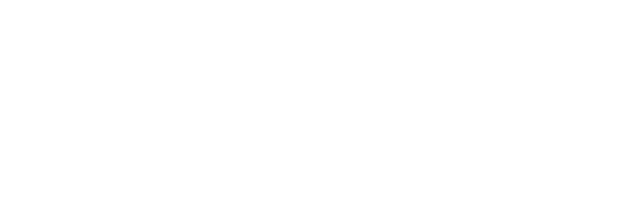 logo footer